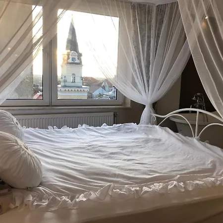 Fleur De Lys Kikinda